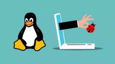 Linux beats Apple, Microsoft, and Google at fixing bugs: Report | TechGig