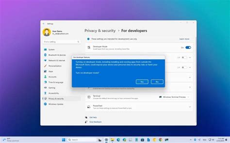 Install Windows 11 Developer 的图像结果