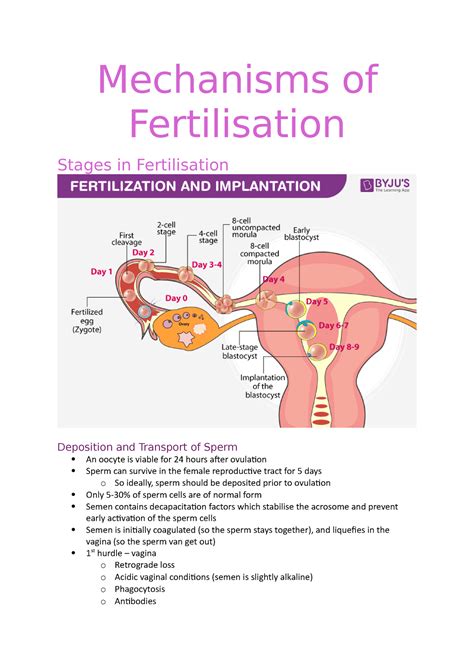 Image result for Fertilisation Types