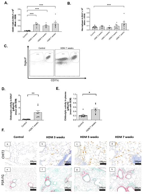 Inhibition of Macrophage-Specific CHIT1 as an Approach to Treat Airway ...