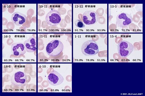 Image result for Progressive Patterns Examples in Math