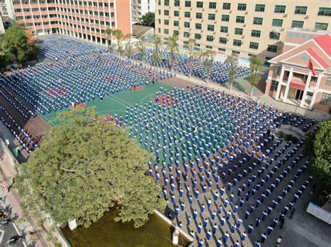 普宁流沙东街道：构建“红色商圈”助推经济健康发展_党建_活动_工作