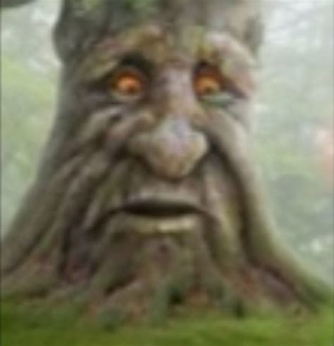 Image result for Tree Sentinel Meme