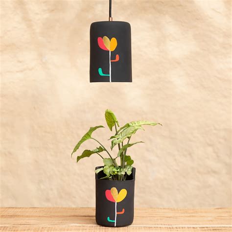 All Lightings– Sunshine Boulevard