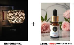 Ram Hand Crafted Kapoor Dani LED Kapoordani/Aroma Oil Diffuser With On ...