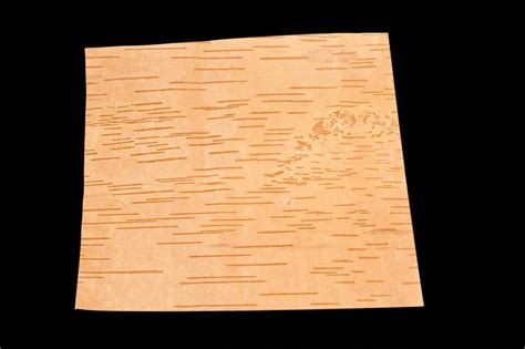 BHOJPATRA SHEET – PoojaProducts.com