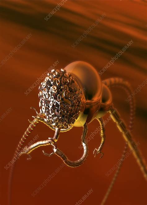 Image result for Alien Tripod MLP