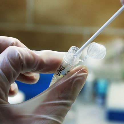 Image result for What Is DNA Analysis