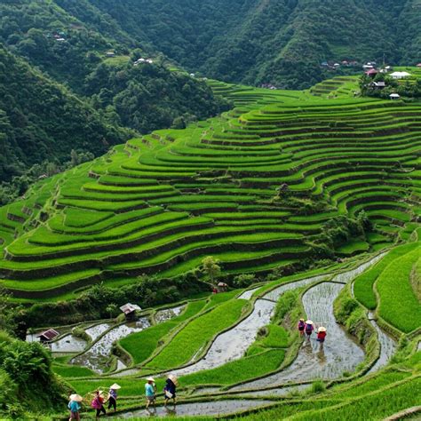 Banaue’s Stairway to Heaven: Trekking the Iconic Rice Terraces ...