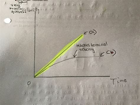 acceleration, gravity and terminal velocity Flashcards | Quizlet