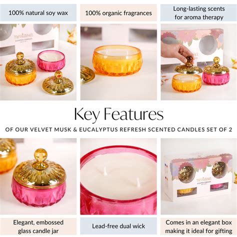 Velvet Musk And Eucalyptus Refresh Scented Candles Set Of 2 Online ...