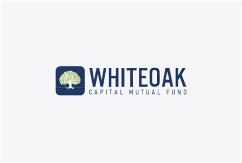 NFO Update: WhiteOak Capital Mutual Fund launches equity savings fund