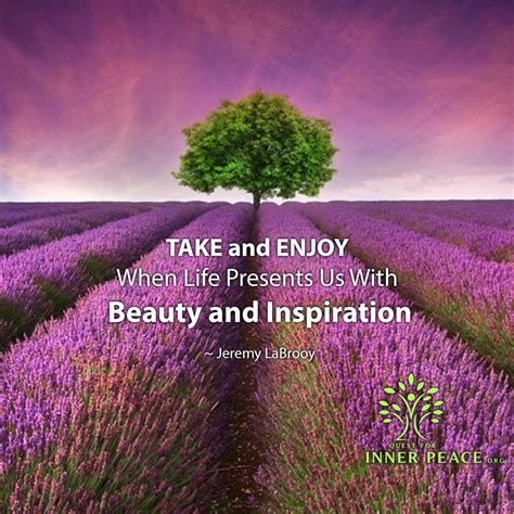 10 Inner Peace Quotes for a Holistic Approach to Life