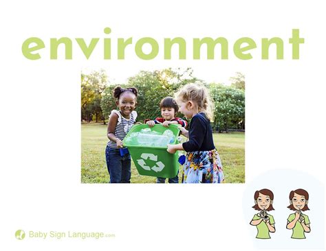 Environment Flashcard 的图像结果