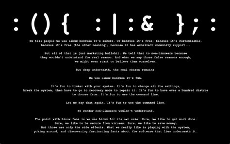 Why Linux 的图像结果