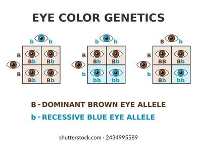 Image result for Eye Color Rarity Chart