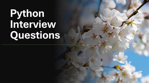 Python Interview Questions Telusko 的图像结果