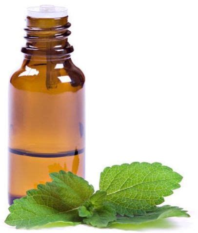 Lembaco Expoter Patna - Natural Menthol Oil Manufacturer and Supplier