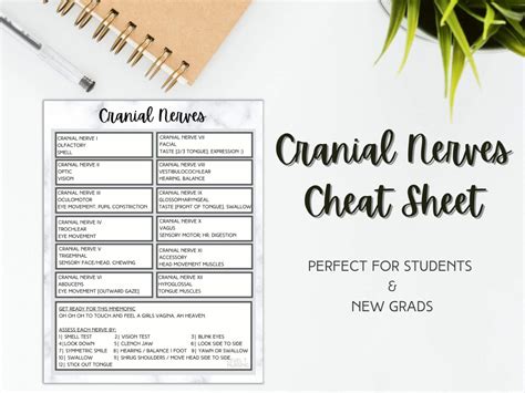 Mastering Cranial Nerves: Clean & Dirty Mnemonics Compared