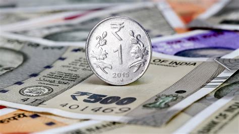 घर की पूर्व दिशा में लगा दें ये चमत्कारी पौधा, पीछा छोड़ देगी गरीबी ...