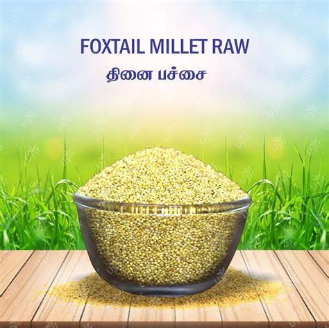 Foxtail Millet In Tamil Unpolished Foxtail Millet 1 Lb – Trupti