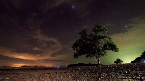 Download wallpaper 1920x1080 starry sky, tree, sand, night, koh lanta ...