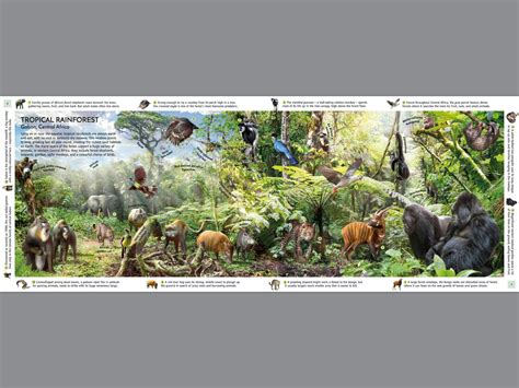How Many Habitats Are In The World