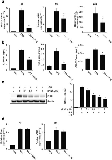 Image result for Krn2 Code