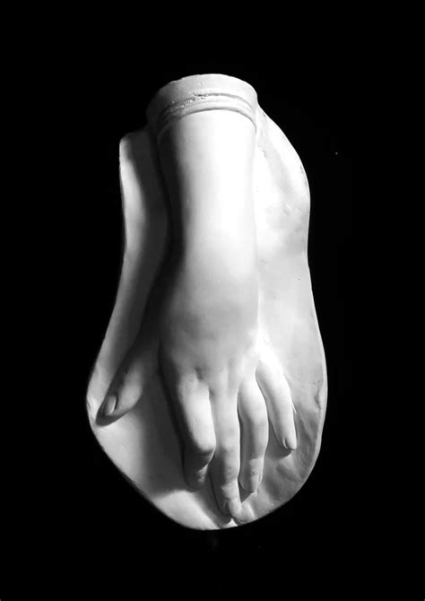 Hand Plaster 的图像结果