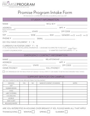 Fillable Online SUPPORTING STUDENTS 365 DAYS A YEAR Promise Program ...