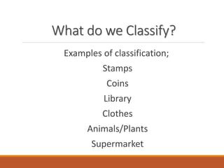 Image result for Classification Stuff