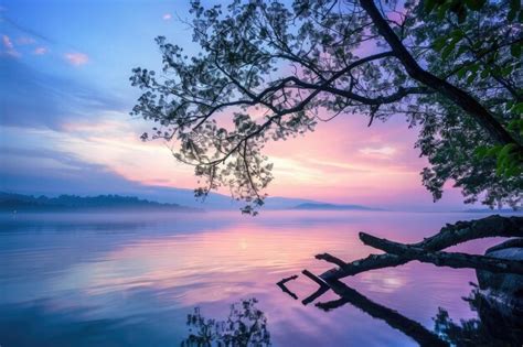 Quiet 的图像结果