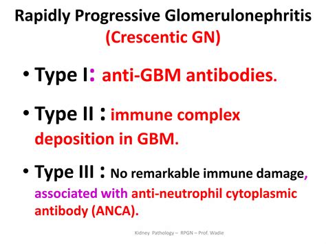 Rapidly Progressive Glomerulonephritis - renal pathology- prof wadie | PPTX