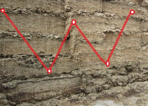 Silage Sampling Core 的图像结果