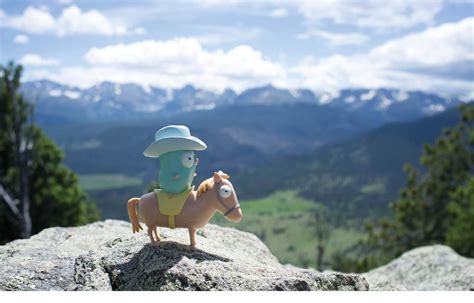 Image result for Go Programming Series