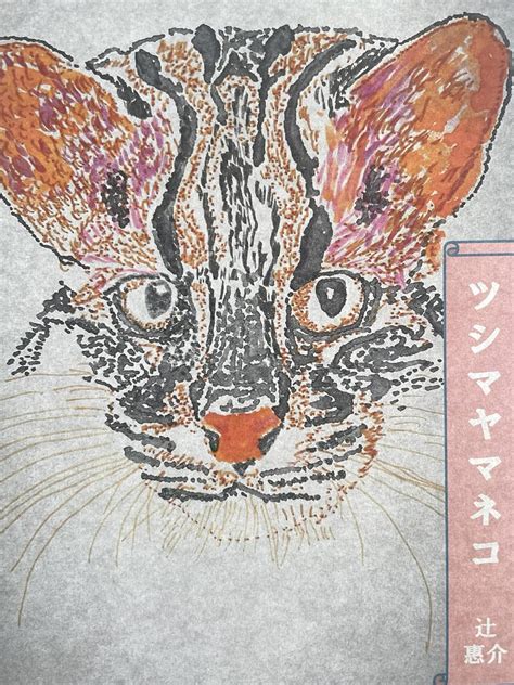 wildcat of tsushima: Story of Kyushu Boy Kendoist (all commnication ...