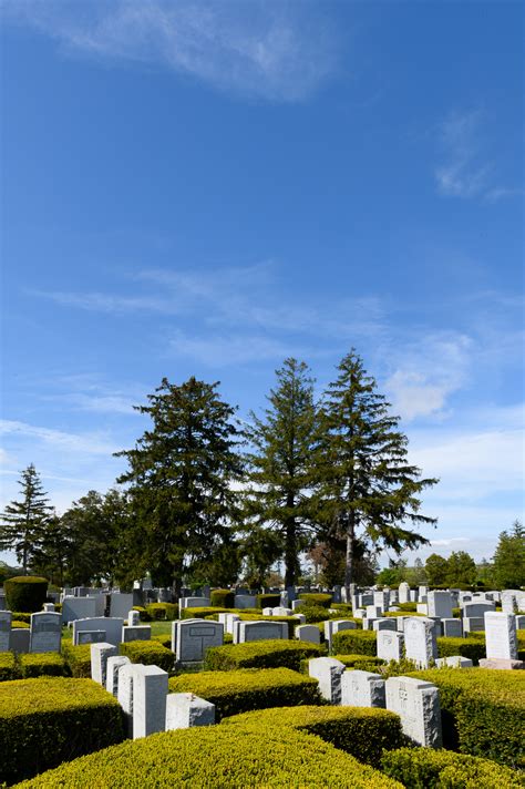 Photo Gallery | New Montefiore Cemetery