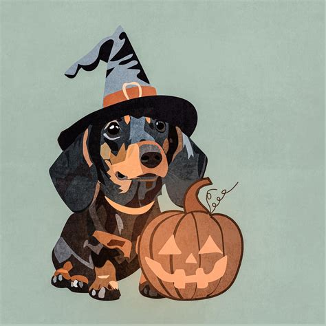 60,000+ Free Dog With Hat & Dog Images - Pixabay