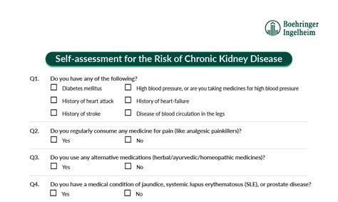 CKD Guidelines at a Glance | Insightmedhub