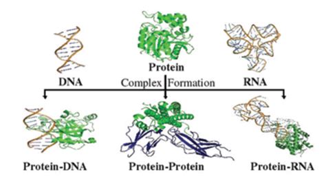 Parbati Biswas Group