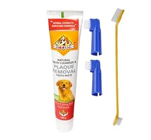 Dental 4-in-1 Hygiene Kit with 1 Headed Toothbrush, 2 Finger ...