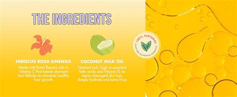 Buy Hibiscus Monkey HM Love Scalp & Hair Oil | Promotes Hair Growth ...