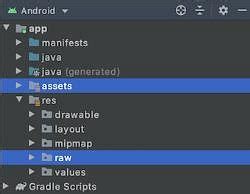Assets Folder in Android Studio - Software Development PDF Download