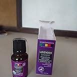 Buy Organix Mantra Lavender Essential Oil Steam Distilled Natural ...