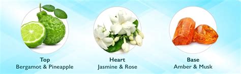 Engage Ocean Zest Deodorant for Men, Citrus and Aquatic, Skin Friendly ...