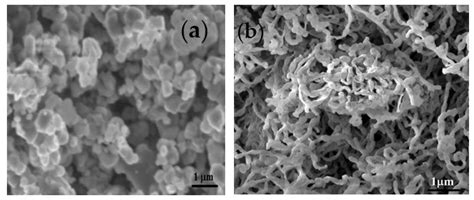 Preparation of Anionic Surfactant-Based One-Dimensional Nanostructured ...