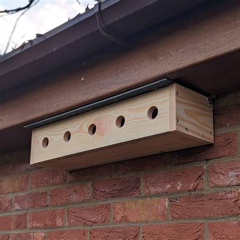 Image result for Bird Nesting Boxes Plans
