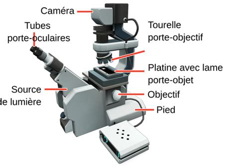 Image result for Microscope Schema Optique