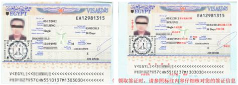 美签或者申根签可以免材料申请埃及签证吗_旅泊网