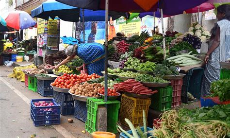 Special camp to provide identity cards to roadside vendors!- சாலையோர ...